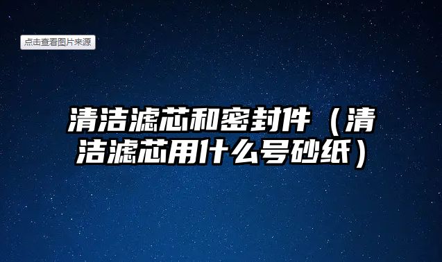 清潔濾芯和密封件（清潔濾芯用什么號(hào)砂紙）