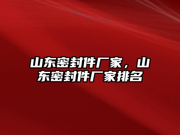 山東密封件廠家，山東密封件廠家排名