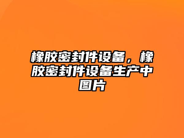 橡膠密封件設備，橡膠密封件設備生產中圖片