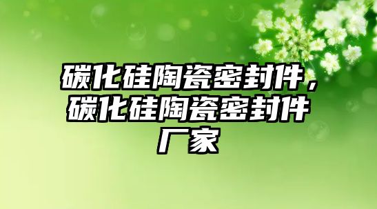 碳化硅陶瓷密封件，碳化硅陶瓷密封件廠家