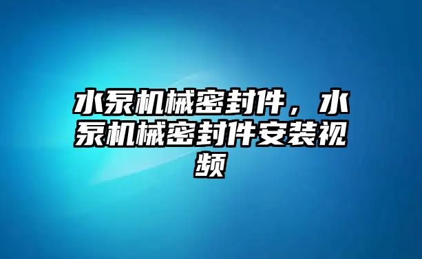 水泵機(jī)械密封件，水泵機(jī)械密封件安裝視頻