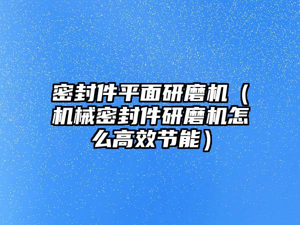 密封件平面研磨機(jī)（機(jī)械密封件研磨機(jī)怎么高效節(jié)能）