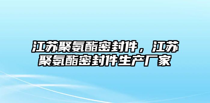 江蘇聚氨酯密封件，江蘇聚氨酯密封件生產(chǎn)廠家