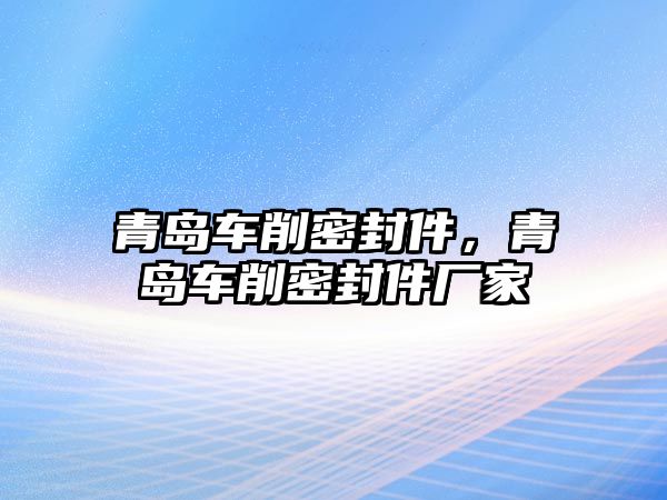 青島車削密封件，青島車削密封件廠家