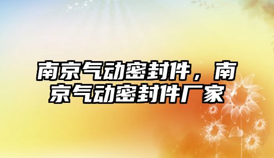 南京氣動密封件，南京氣動密封件廠家