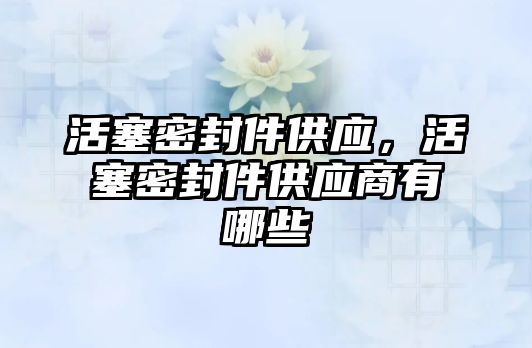 活塞密封件供應，活塞密封件供應商有哪些