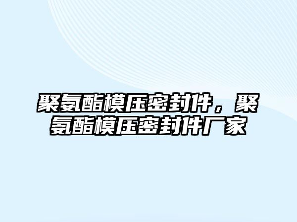 聚氨酯模壓密封件，聚氨酯模壓密封件廠家