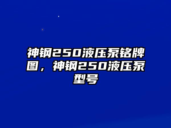 神鋼250液壓泵銘牌圖，神鋼250液壓泵型號