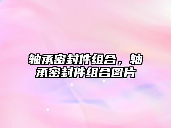 軸承密封件組合，軸承密封件組合圖片