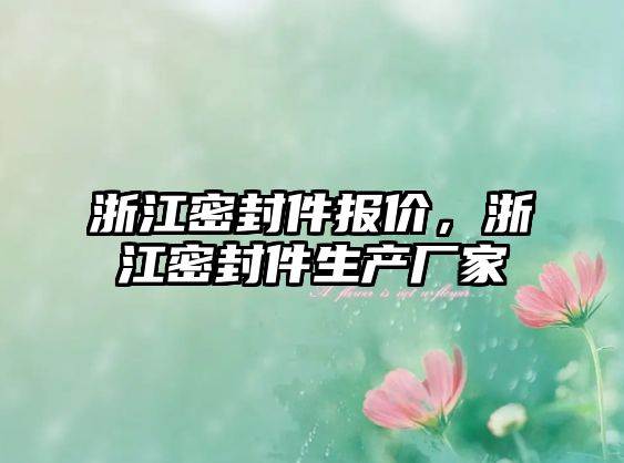 浙江密封件報價，浙江密封件生產(chǎn)廠家