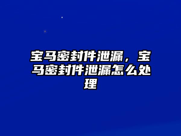 寶馬密封件泄漏，寶馬密封件泄漏怎么處理