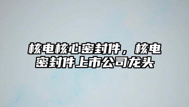 核電核心密封件，核電密封件上市公司龍頭