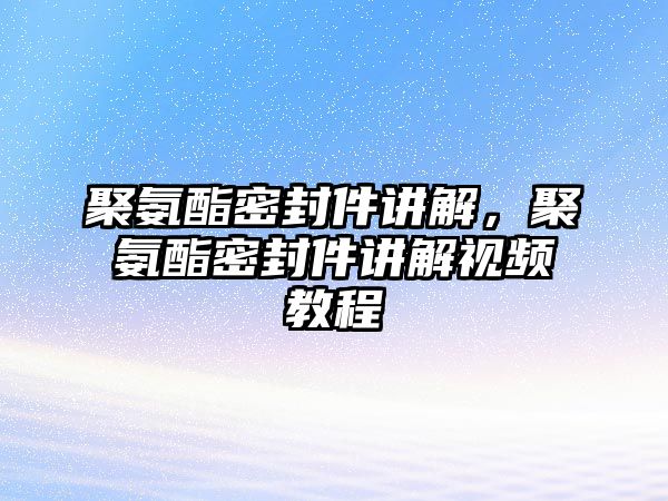 聚氨酯密封件講解，聚氨酯密封件講解視頻教程