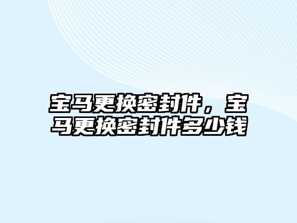 寶馬更換密封件，寶馬更換密封件多少錢