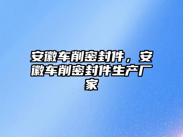 安徽車削密封件，安徽車削密封件生產廠家