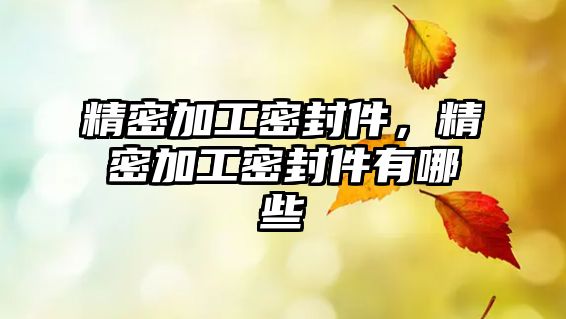 精密加工密封件，精密加工密封件有哪些