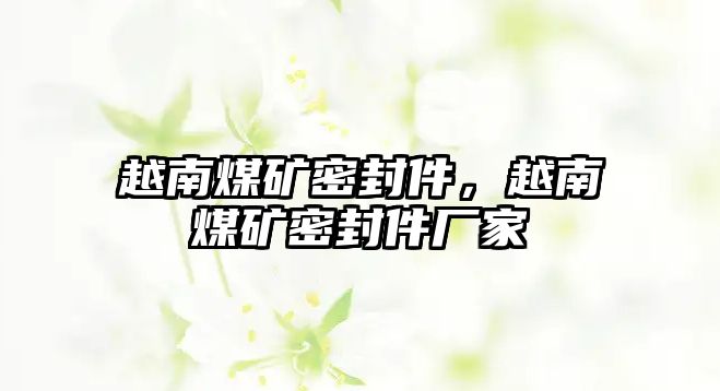 越南煤礦密封件，越南煤礦密封件廠家