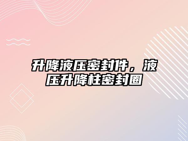 升降液壓密封件，液壓升降柱密封圈