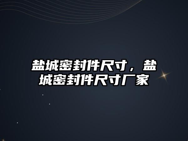 鹽城密封件尺寸，鹽城密封件尺寸廠家