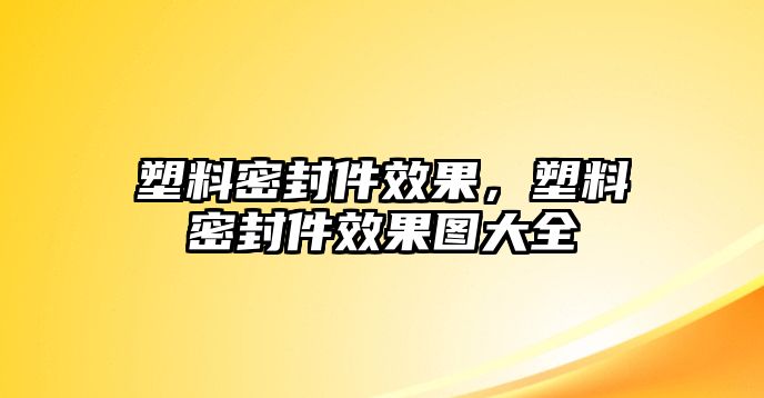 塑料密封件效果，塑料密封件效果圖大全