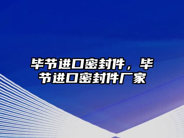 畢節(jié)進(jìn)口密封件，畢節(jié)進(jìn)口密封件廠家