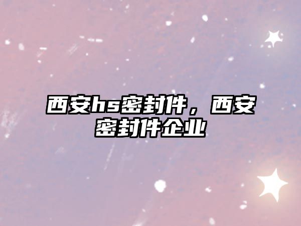 西安hs密封件，西安密封件企業(yè)