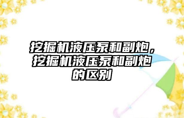 挖掘機液壓泵和副炮，挖掘機液壓泵和副炮的區(qū)別