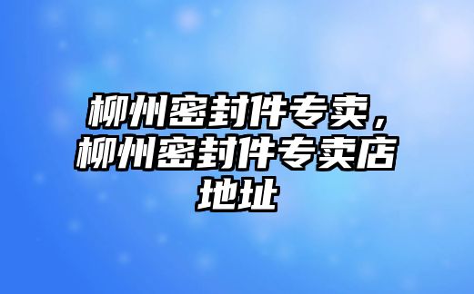 柳州密封件專賣，柳州密封件專賣店地址