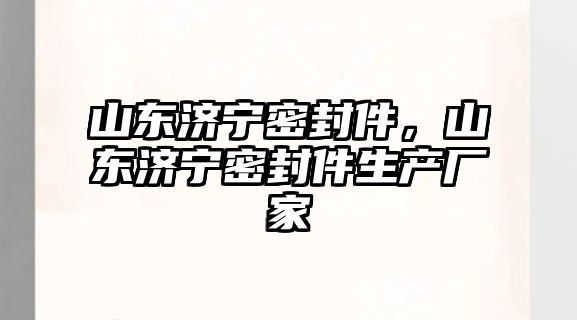 山東濟寧密封件，山東濟寧密封件生產廠家