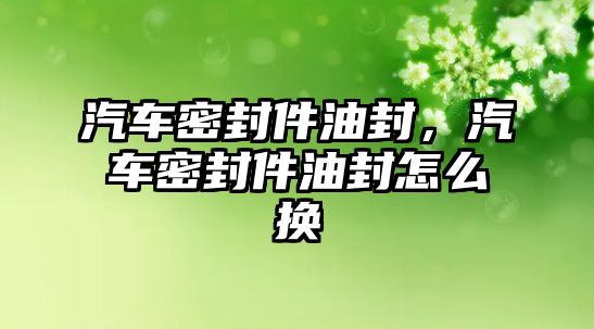 汽車密封件油封，汽車密封件油封怎么換