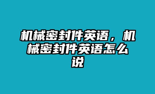 機(jī)械密封件英語，機(jī)械密封件英語怎么說