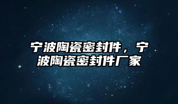 寧波陶瓷密封件，寧波陶瓷密封件廠家