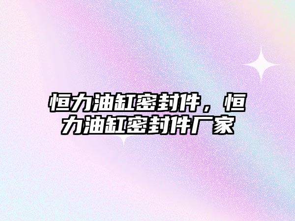 恒力油缸密封件，恒力油缸密封件廠家