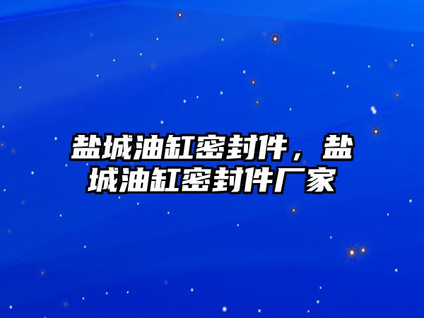 鹽城油缸密封件，鹽城油缸密封件廠家