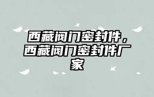 西藏閥門密封件，西藏閥門密封件廠家