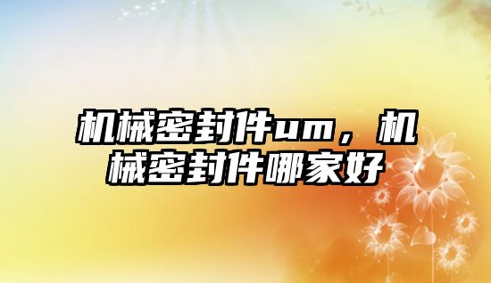 機械密封件um，機械密封件哪家好