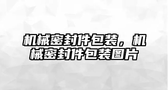 機(jī)械密封件包裝，機(jī)械密封件包裝圖片