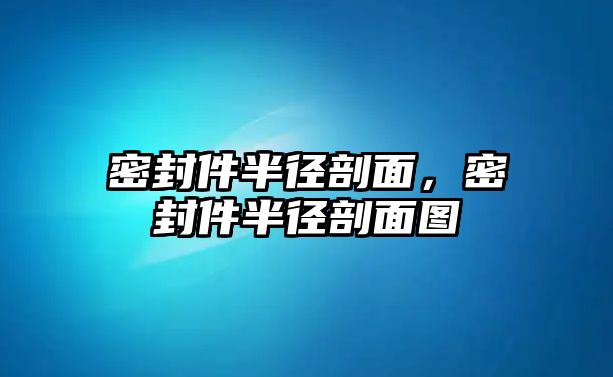 密封件半徑剖面，密封件半徑剖面圖