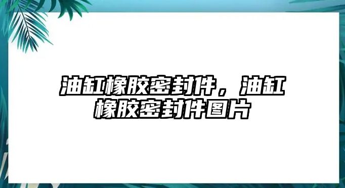 油缸橡膠密封件，油缸橡膠密封件圖片