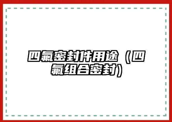 四氟密封件用途（四氟組合密封）