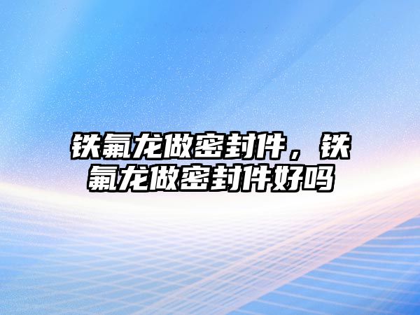 鐵氟龍做密封件，鐵氟龍做密封件好嗎