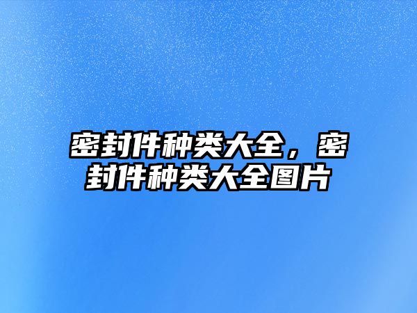 密封件種類大全，密封件種類大全圖片