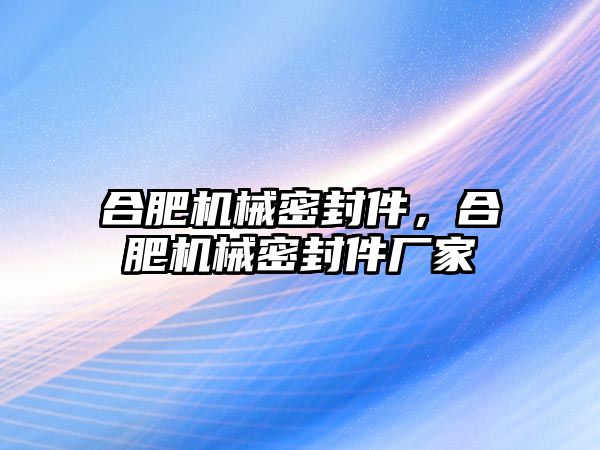 合肥機(jī)械密封件，合肥機(jī)械密封件廠家