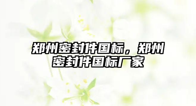 鄭州密封件國標，鄭州密封件國標廠家