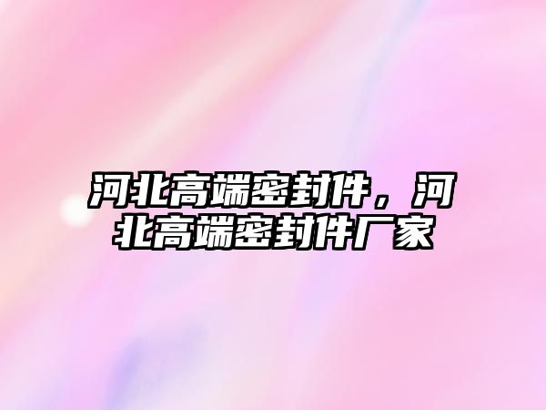 河北高端密封件，河北高端密封件廠家