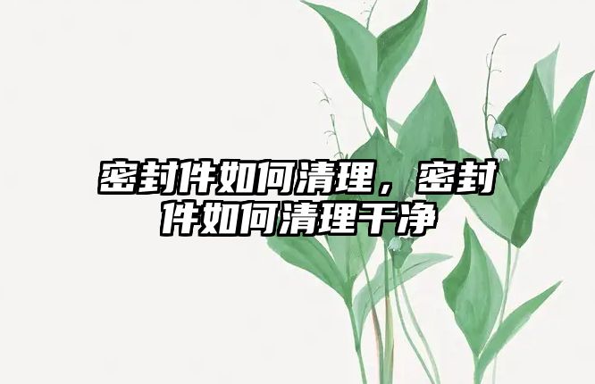 密封件如何清理，密封件如何清理干凈