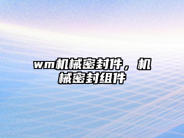 wm機械密封件，機械密封組件