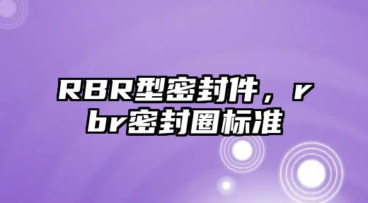 RBR型密封件，rbr密封圈標(biāo)準(zhǔn)