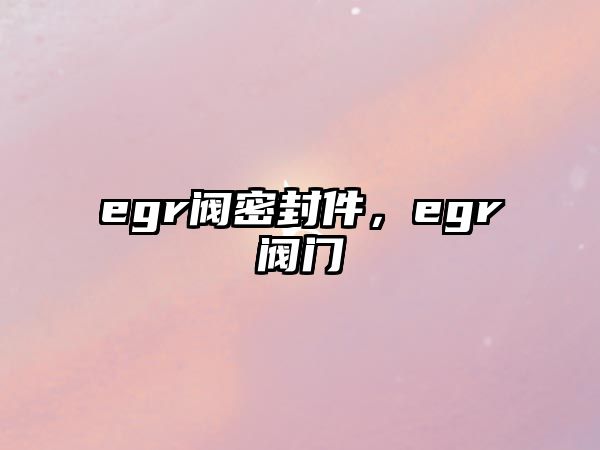 egr閥密封件，egr閥門