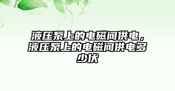 液壓泵上的電磁閥供電，液壓泵上的電磁閥供電多少伏